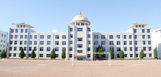 我的大學(xué)-大學(xué)志