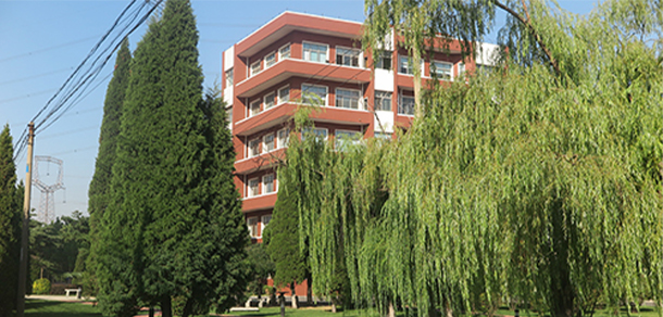 我的大學(xué)-大學(xué)志
