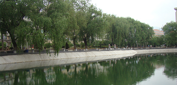 我的大學(xué)-大學(xué)志