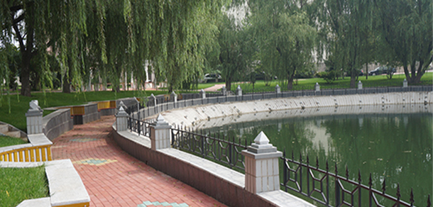 我的大學(xué)-大學(xué)志