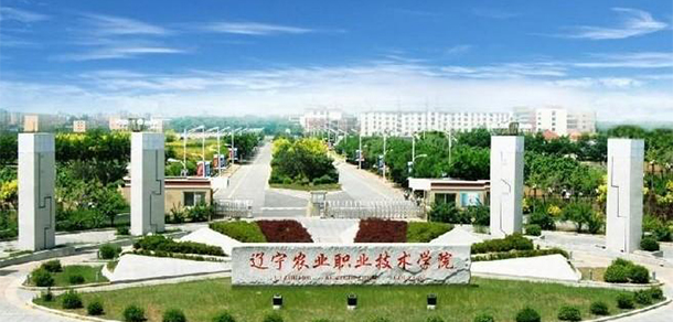 大學校志：校名、校標、校訓、?；?、校旗、校歌