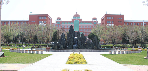 我的大學(xué)-大學(xué)志