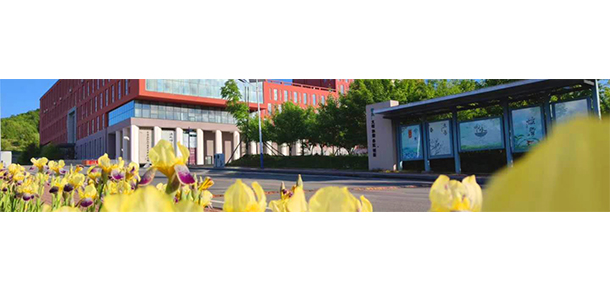 我的大學(xué)-大學(xué)志
