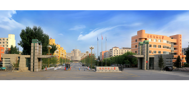 我的大學(xué)-大學(xué)志