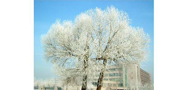 我的大學(xué)-大學(xué)志