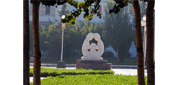我的大學(xué)-大學(xué)志