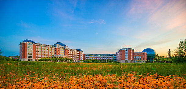 我的大學(xué)-大學(xué)志