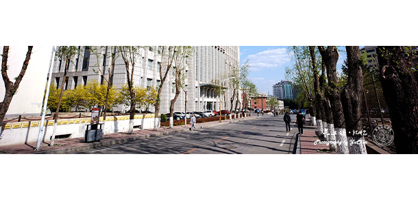 我的大學-大學志