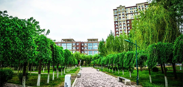 我的大學-大學志
