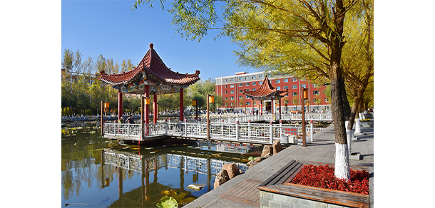 我的大學(xué)-大學(xué)志