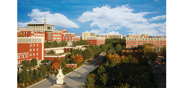 我的大學(xué)-大學(xué)志