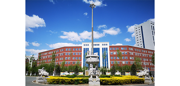 我的大學(xué)-大學(xué)志