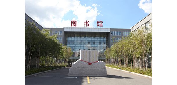 我的大學(xué)-大學(xué)志