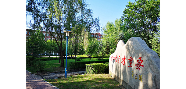 我的大學(xué)-大學(xué)志