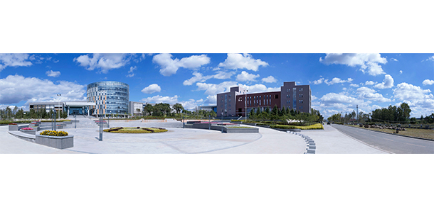 我的大學-大學志