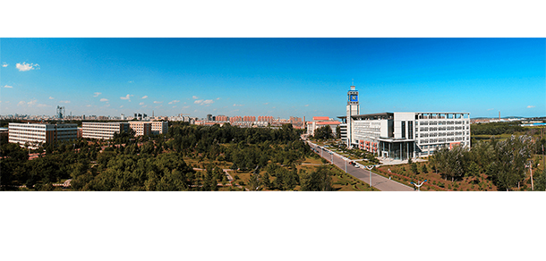 我的大學(xué)-大學(xué)志