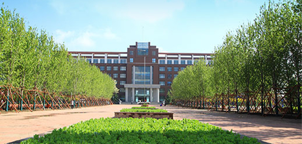 我的大學(xué)-大學(xué)志