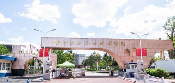 我的大學(xué)-大學(xué)志