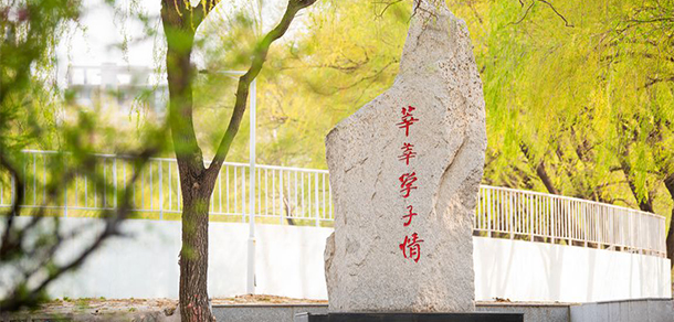 我的大學(xué)-大學(xué)志