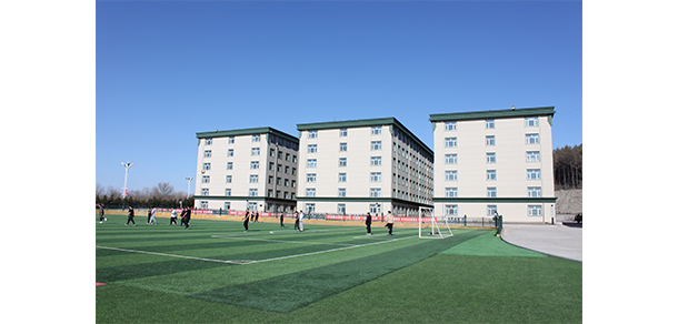 我的大學(xué)-大學(xué)志