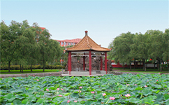 鶴崗師范高等?？茖W(xué)校 - 我的大學(xué)