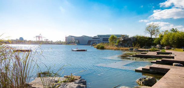 我的大學(xué)-大學(xué)志