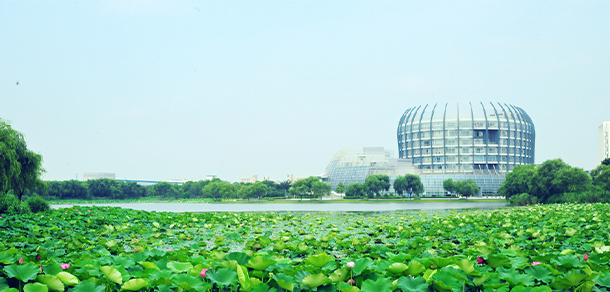 我的大學-大學志